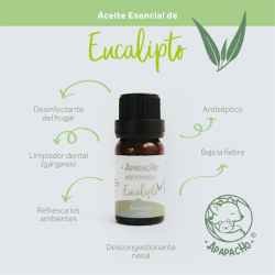 "Aceite Esencial Eucalipto" Apapacho