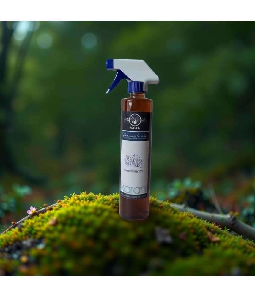 Crecimiento De Plantas y Flores