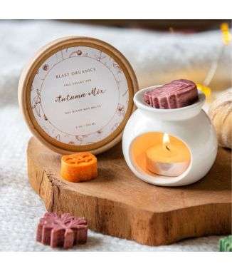 Wax Melts Autumn Mix