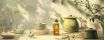 Aromas que abrazan